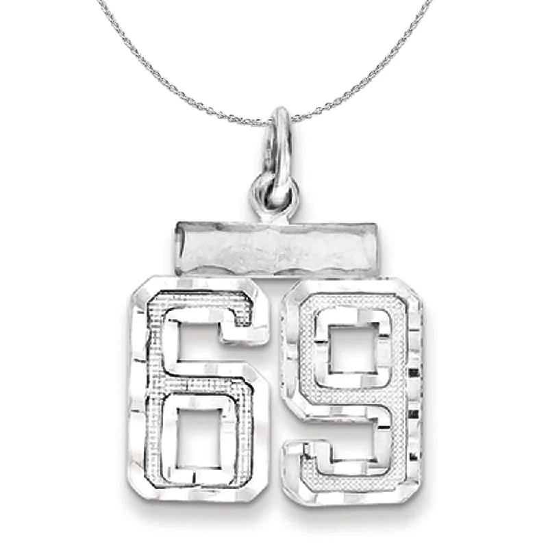 Prairie grass necklace-Sterling Silver, Varsity Collection, Small D/C Number 69 Necklace