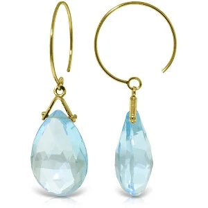 Rosemary sprig earrings-10.2 Carat 14K Solid Yellow Gold Circle Wire Earrings Blue Topaz